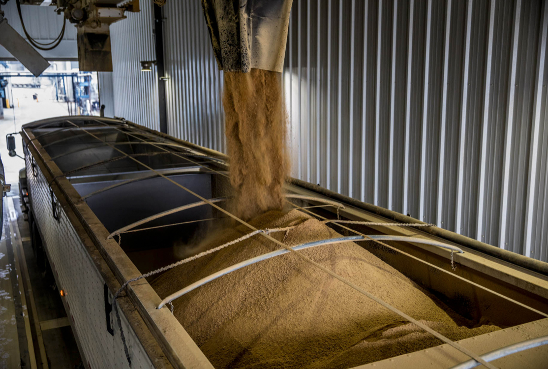 Agriculture-Harvest-00007