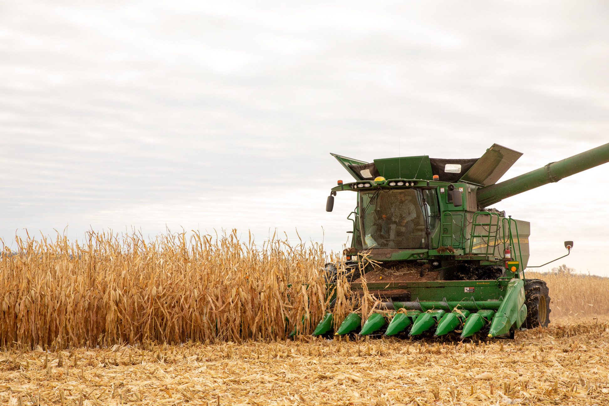 Agriculture-Harvest-00049