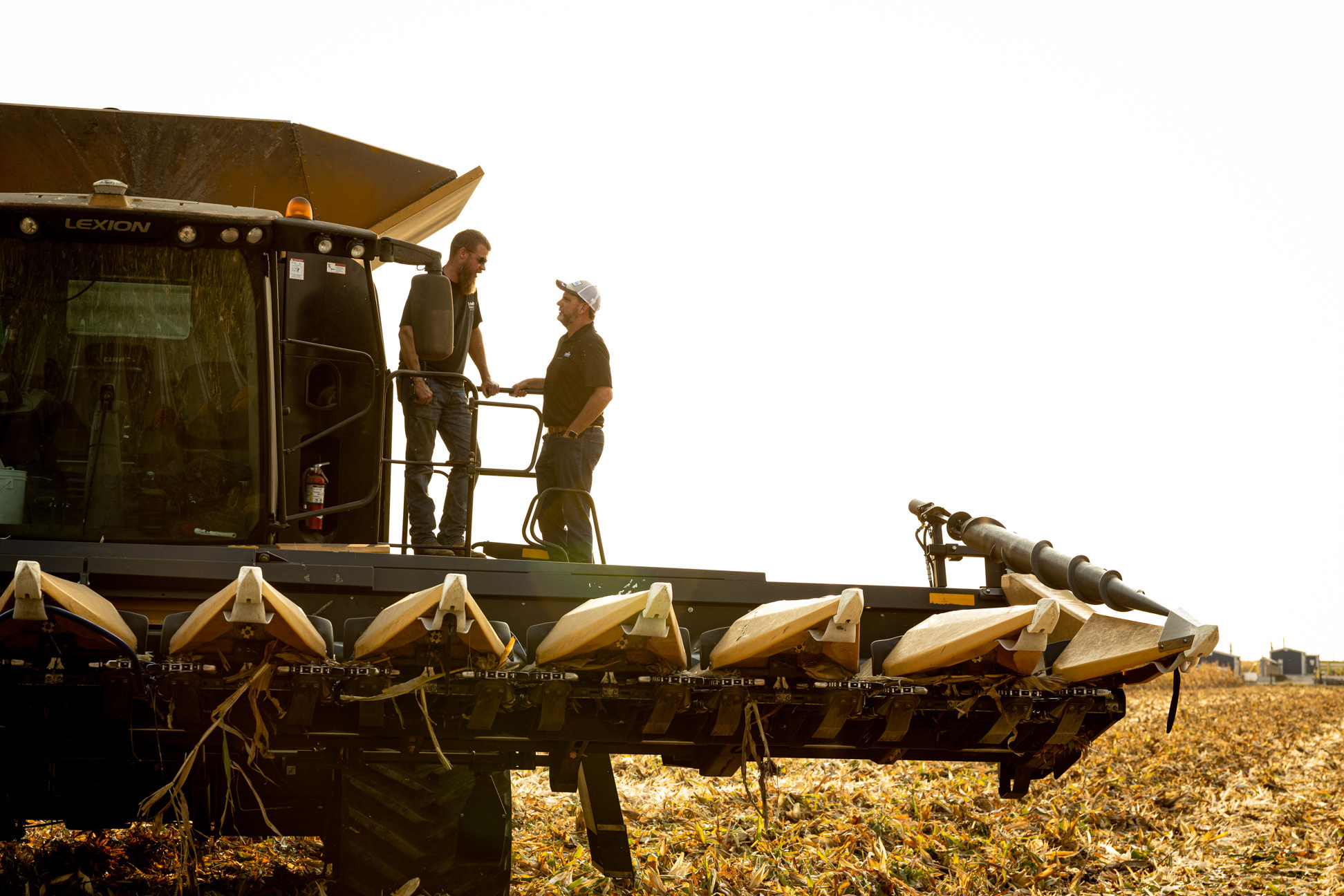 Agriculture-Harvest-00055