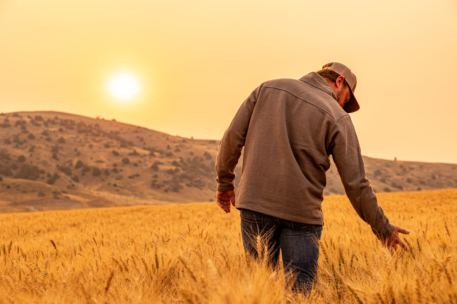 Agriculture-Harvest-00063