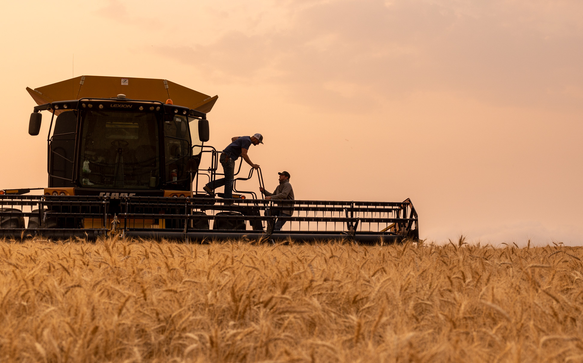 Agriculture-Harvest-00066