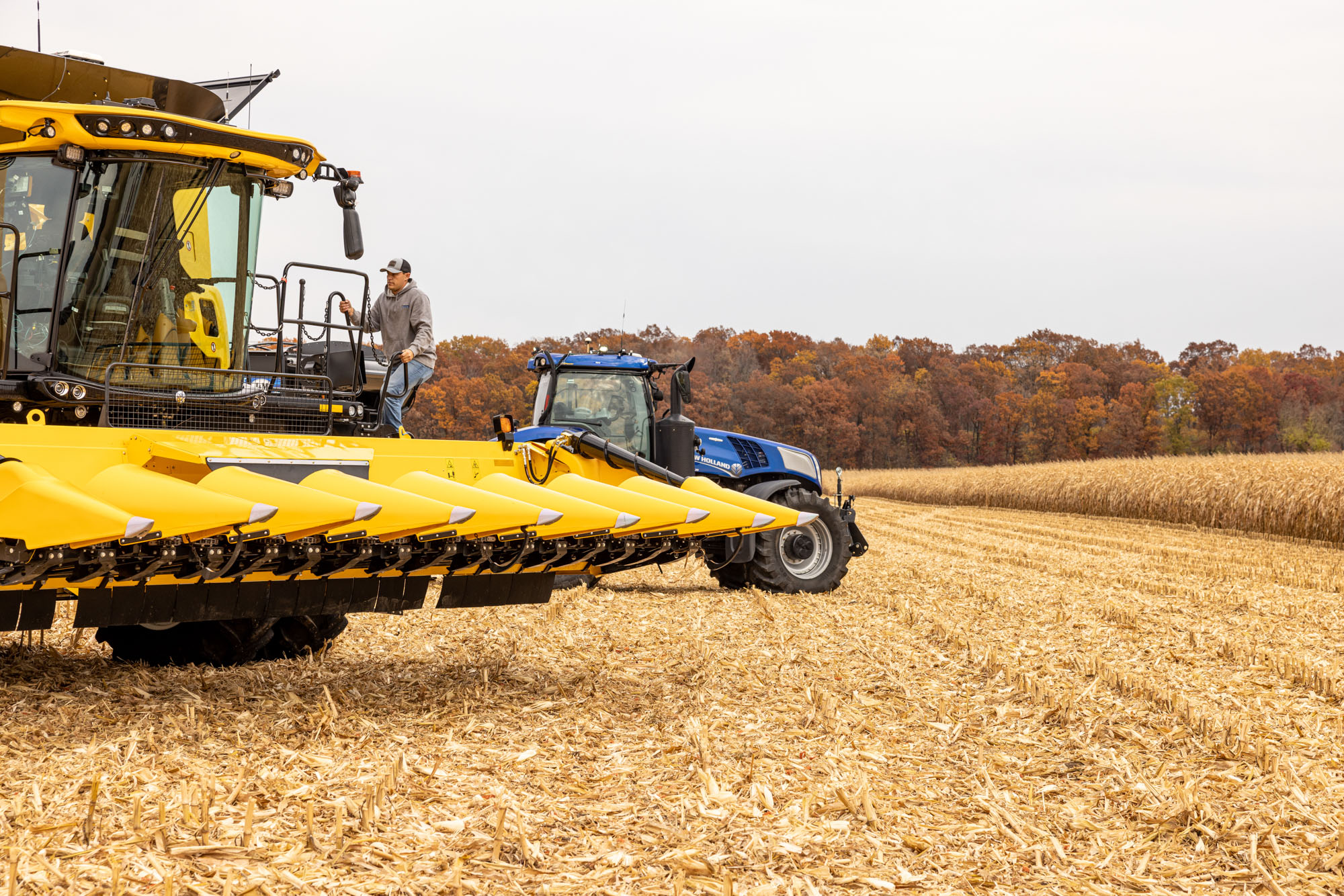 Agriculture-Harvest-00074