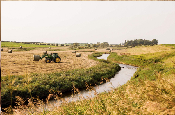 Agriculture-Harvest-00094