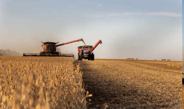Agriculture-Harvest-00099