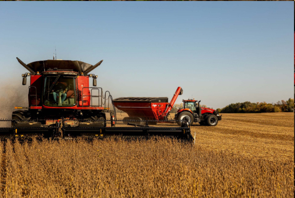 Agriculture-Harvest-00100