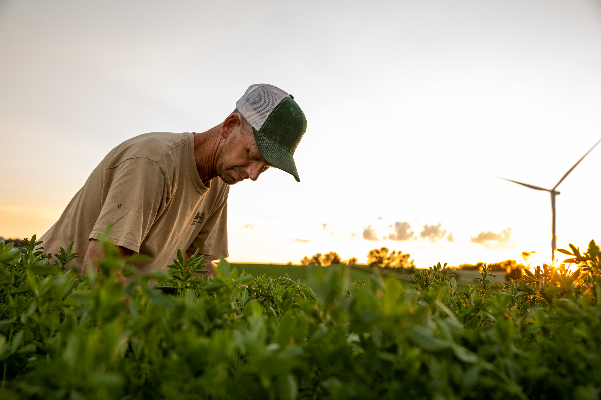 Agriculture-Preparing-and-Growing-one-00026