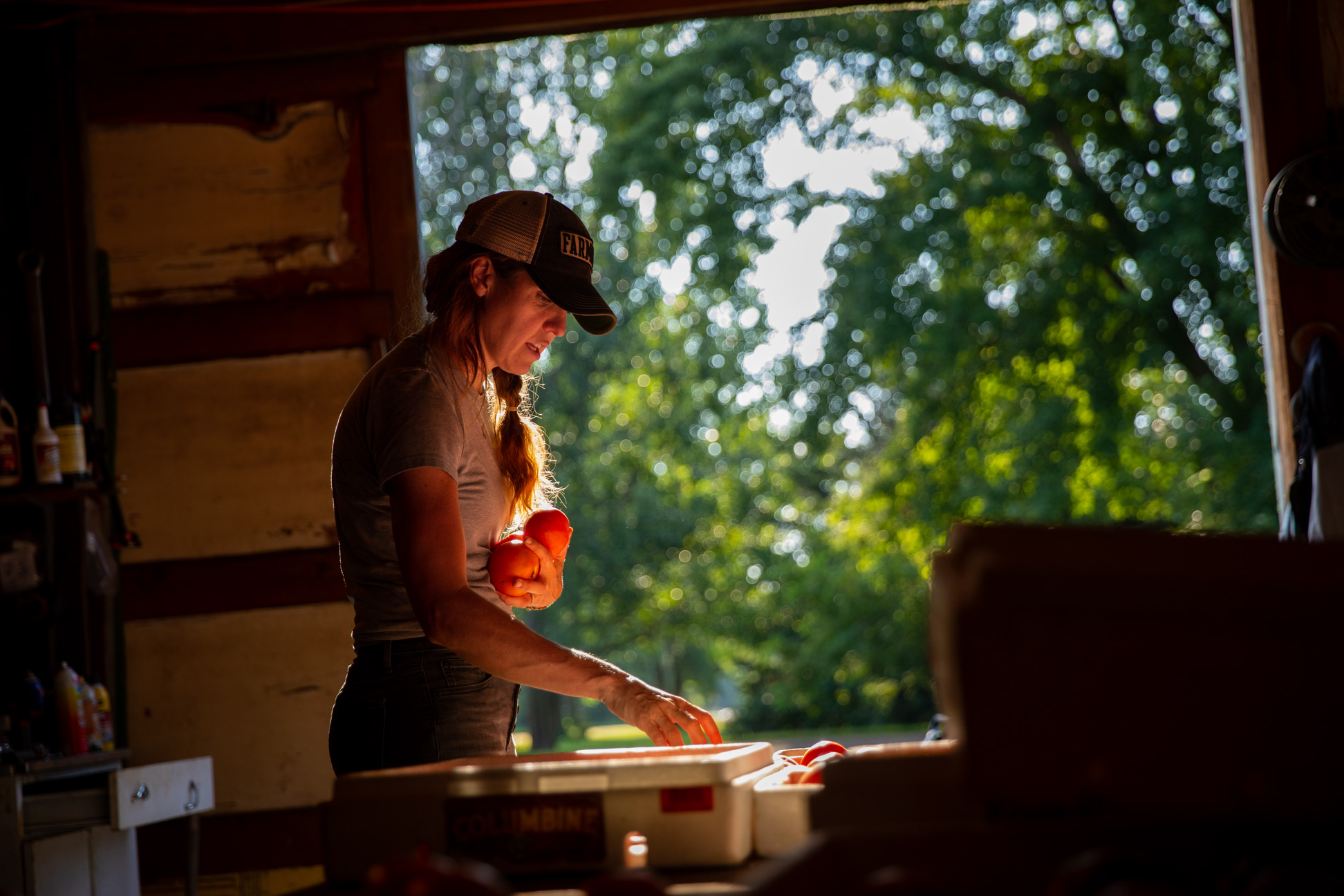 Agriculture-Preparing-and-Growing-two-00017