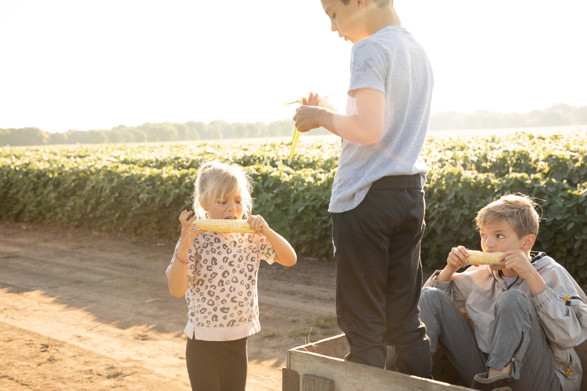 Agriculture-livestock-Farm-Life-00044