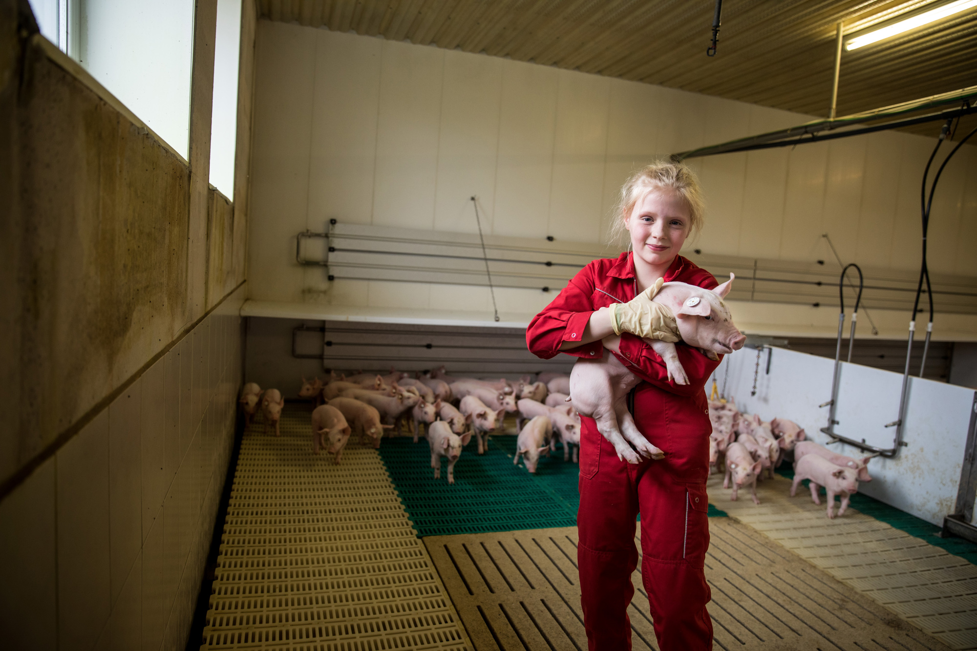 Agriculture-livestock-Farm-Life-00051