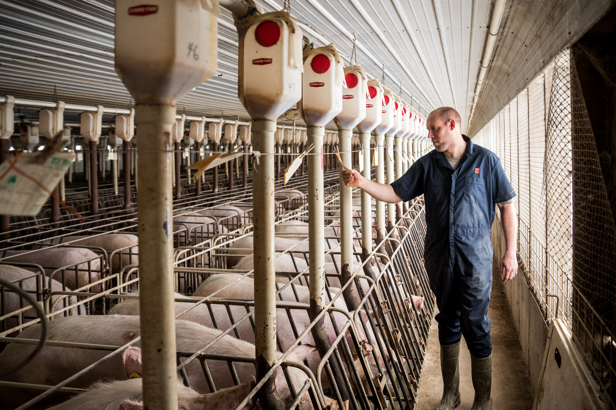 Agriculture-livestock-Farm-Life-00055