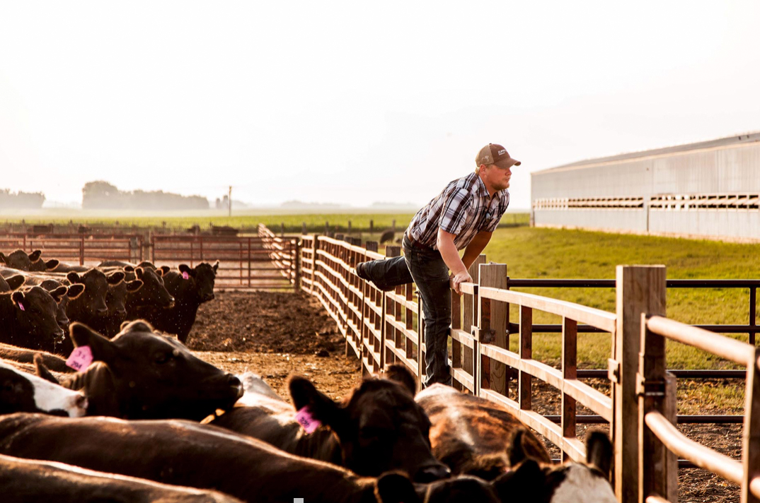 Agriculture-livestock-Farm-Life-00073