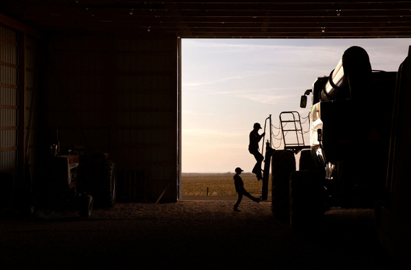 Agriculture-livestock-Farm-Life-00082