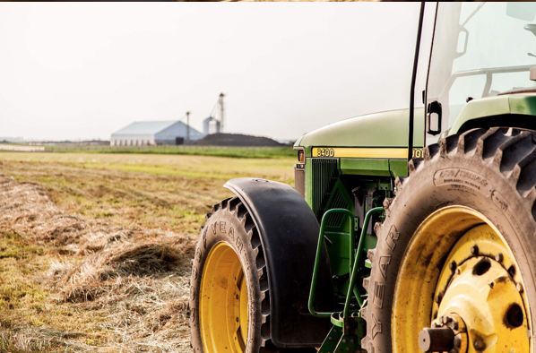 Agriculture-livestock-Farm-Life-00091