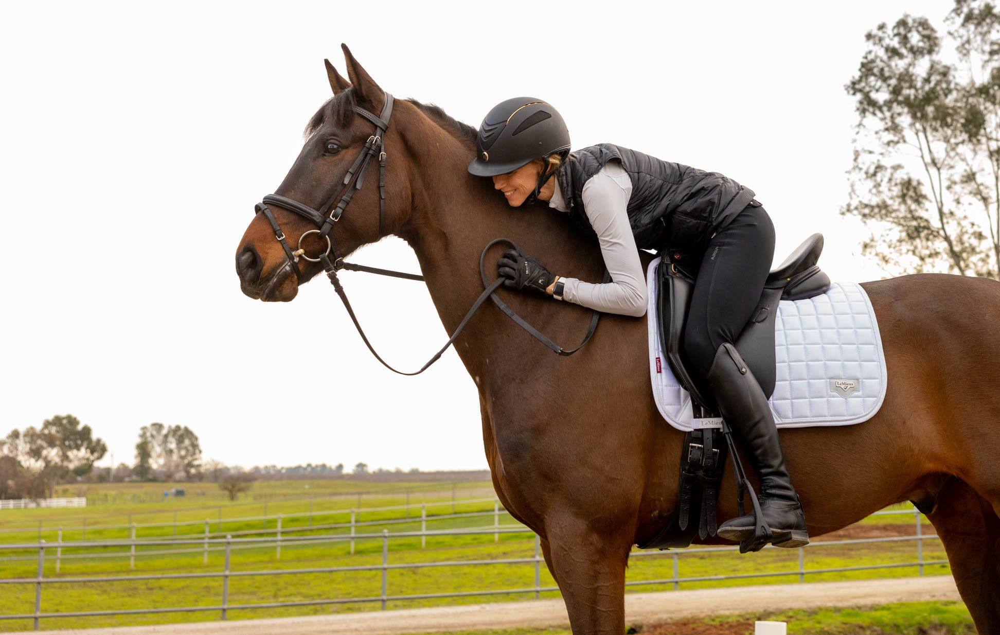 MIC_ENGLISH_RIDING_B_5378