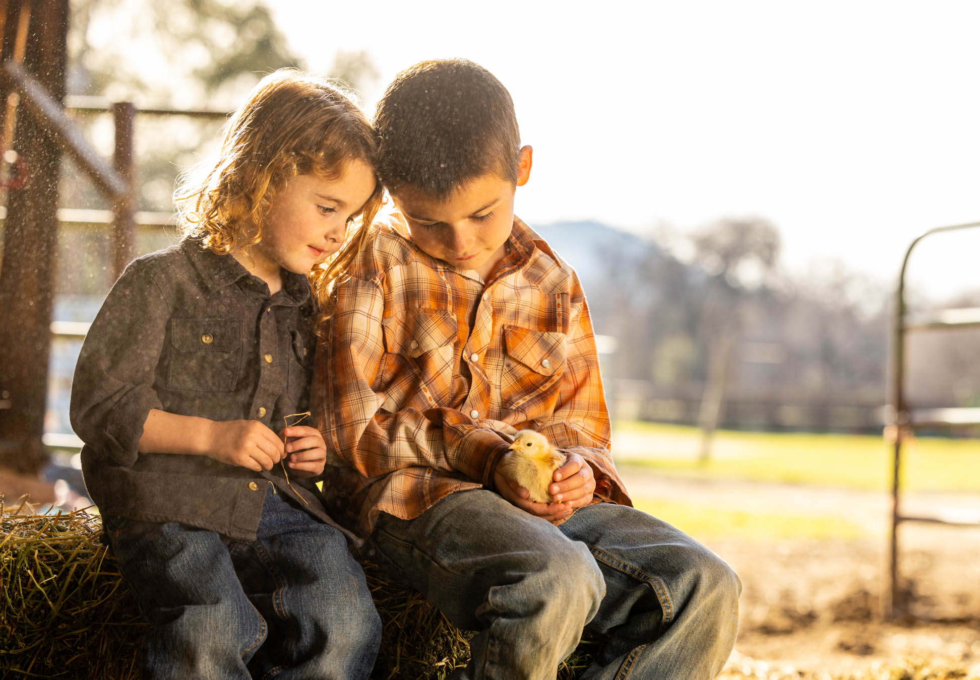 MIC_KIDS_WITH_CHICKS_8755
