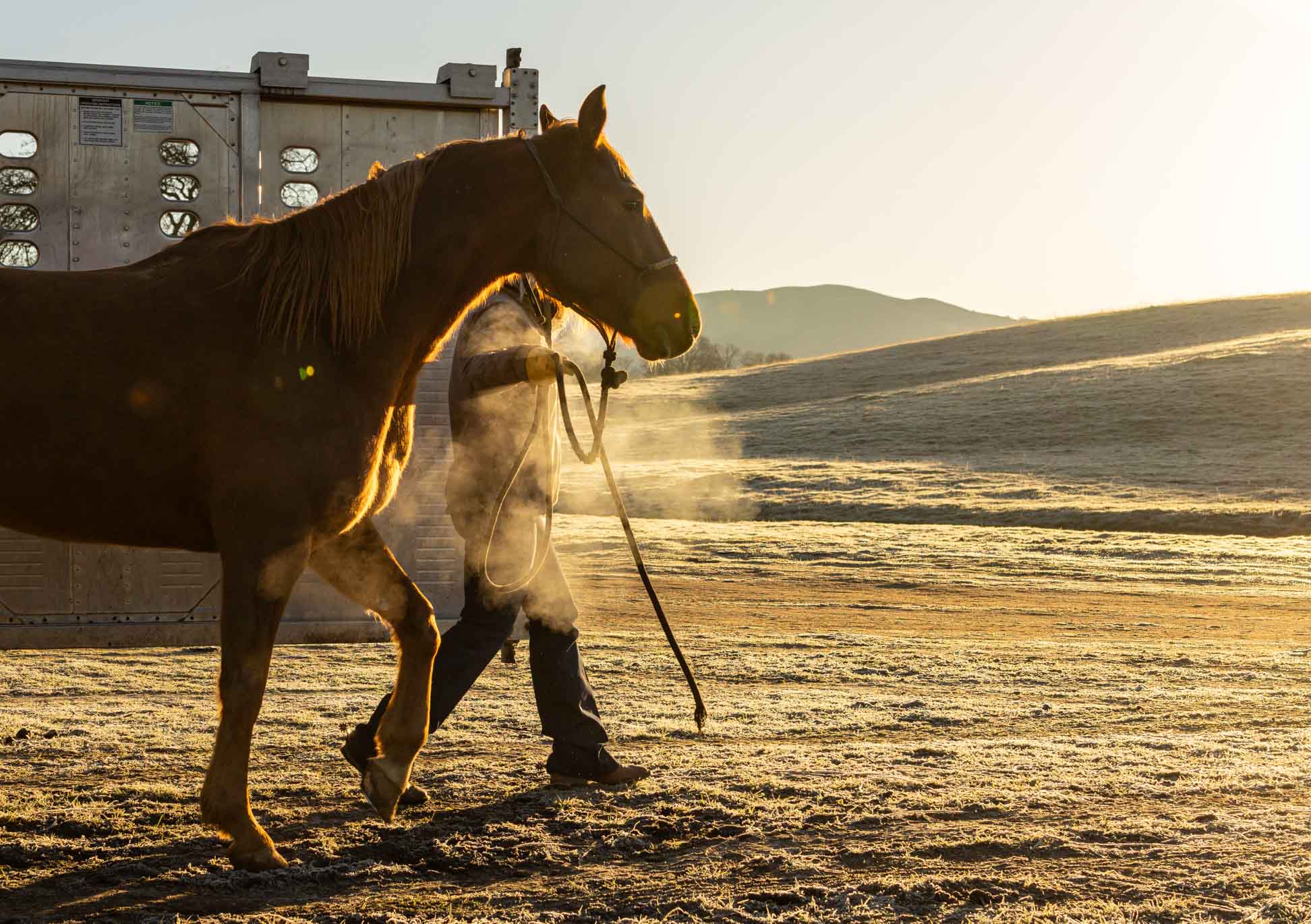 MIC_WOMAN_WITH_HORSE_0010-Enhanced-RD-SR
