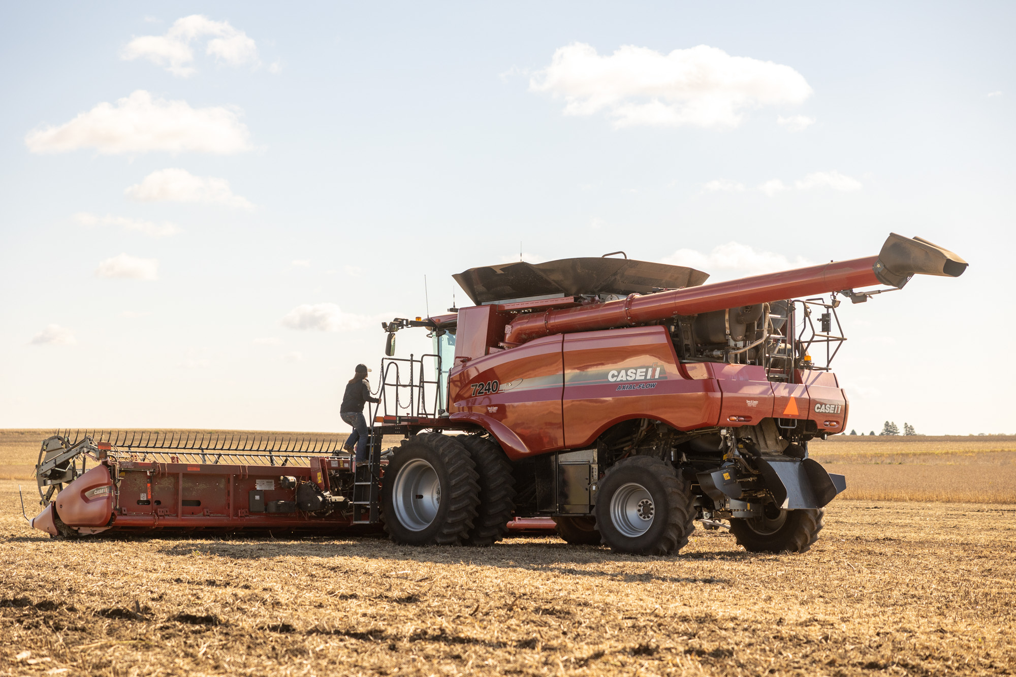Project-Commssions-Boeve-Farm-Selects-00008