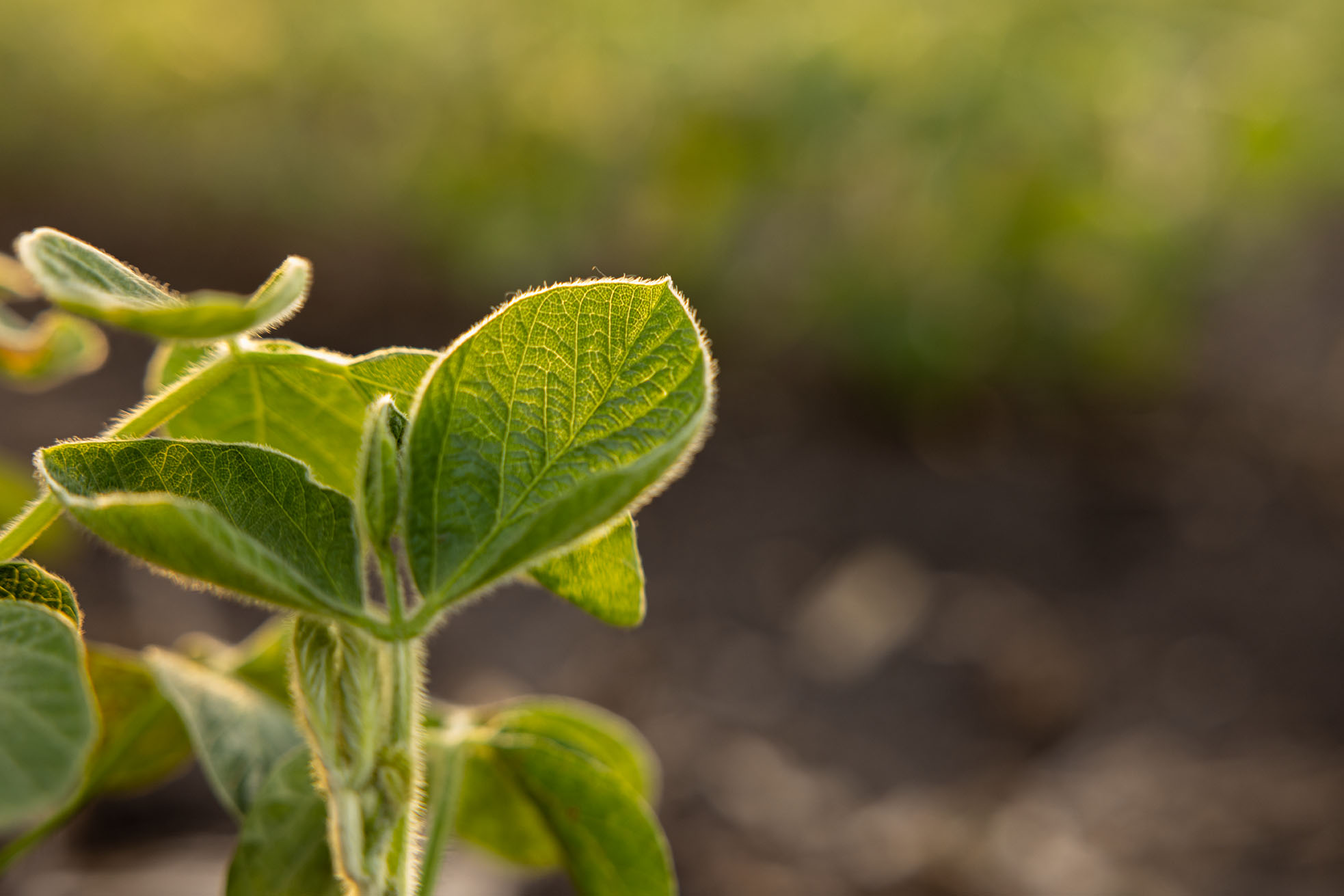 Project-Commssions-Channel-Seed-00066