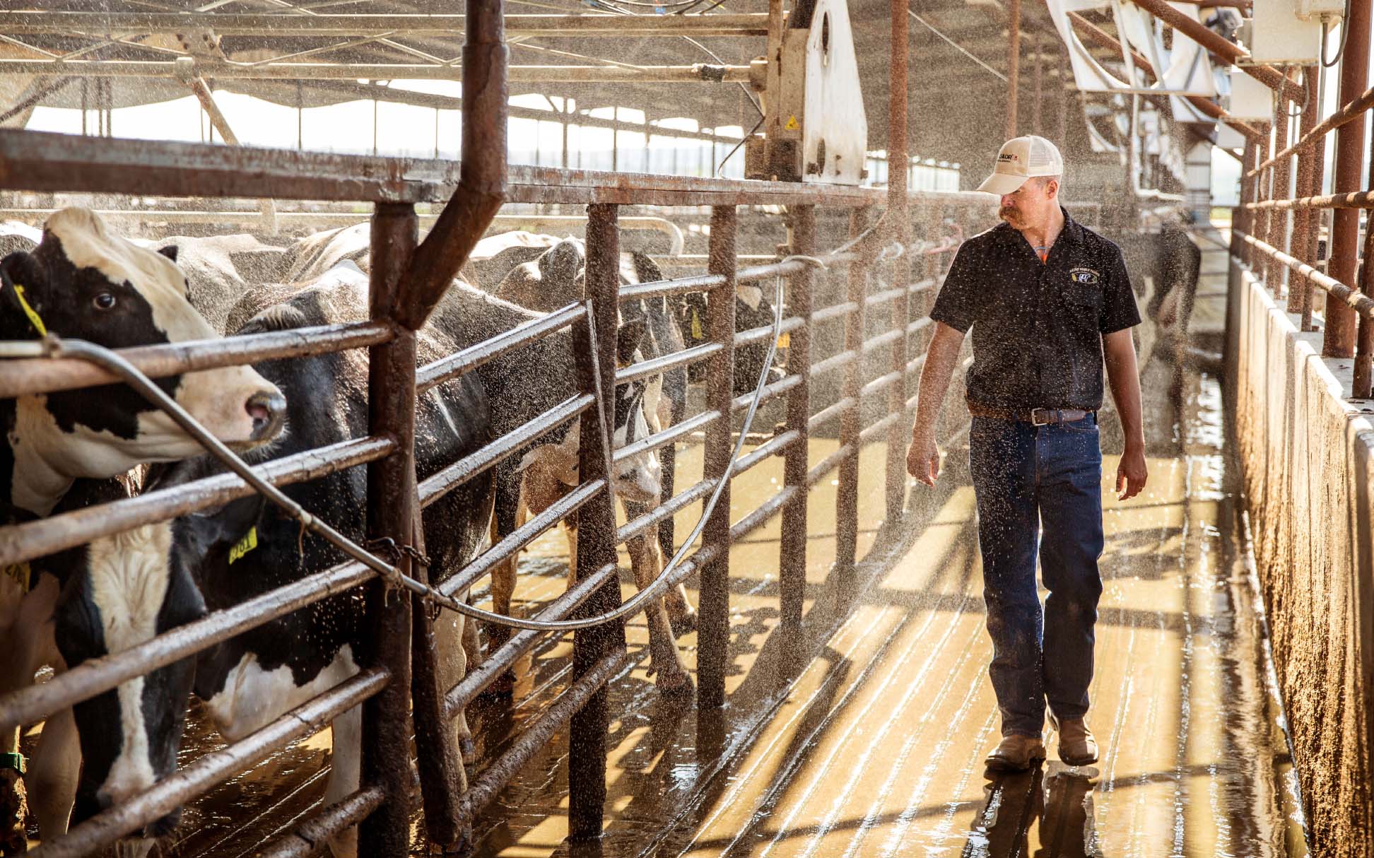 robblongphotography_dairyfarmer1
